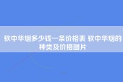 软中华烟多少钱一条价格表 软中华烟的种类及价格图片