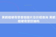 黄鹤楼硬奇景香烟图片及价格查询 黄鹤楼硬奇景好抽吗