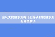 名气大的白水泥有什么牌子,好的白水泥有哪些牌子