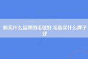 购买什么品牌的毛毯好,毛毯买什么牌子好