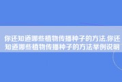 你还知道哪些植物传播种子的方法,你还知道哪些植物传播种子的方法举例说明