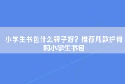 小学生书包什么牌子好？推荐几款护脊的小学生书包