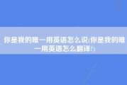 你是我的唯一用英语怎么说(你是我的唯一用英语怎么翻译?)
