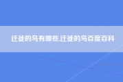 迁徙的鸟有哪些,迁徙的鸟百度百科