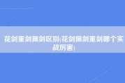 花剑重剑佩剑区别(花剑佩剑重剑哪个实战厉害)