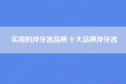 实用的冲牙器品牌,十大品牌冲牙器