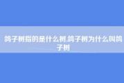 鸽子树指的是什么树,鸽子树为什么叫鸽子树