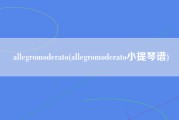 allegromoderato(allegromoderato小提琴谱)