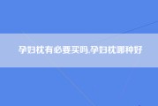 孕妇枕有必要买吗,孕妇枕哪种好