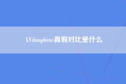 LVdauphine真假对比是什么