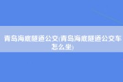 青岛海底隧道公交(青岛海底隧道公交车怎么坐)