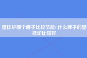 壁挂炉哪个牌子比较节能?,什么牌子的壁挂炉比较好