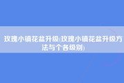 玫瑰小镇花盆升级(玫瑰小镇花盆升级方法与个各级别)