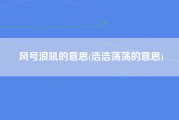 风号浪吼的意思(浩浩荡荡的意思)