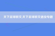天下足球欧文,天下足球欧文退役专题