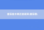 番茄是水果还是蔬菜(蕃茄酱)