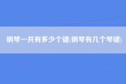 钢琴一共有多少个键(钢琴有几个琴键)