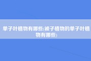 单子叶植物有哪些(被子植物的单子叶植物有哪些)