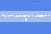 纳尼是什么意思,纳尼是什么意思网络用语