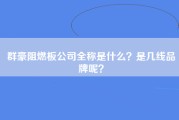 群豪阻燃板公司全称是什么？是几线品牌呢？