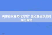 有哪些家养爬行宠物？盘点最受欢迎的爬行宠物