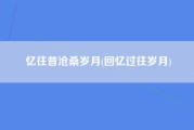 忆往昔沧桑岁月(回忆过往岁月)