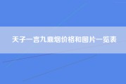 天子一言九鼎烟价格和图片一览表