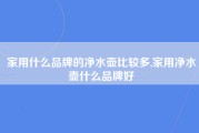 家用什么品牌的净水壶比较多,家用净水壶什么品牌好
