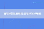 羽毛球的比赛规则(羽毛球发球规则)