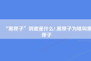 “黑匣子”到底是什么?,黑匣子为啥叫黑匣子