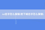 dnf名字怎么复制(地下城名字怎么复制)
