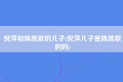 倪萍和陈凯歌的儿子(倪萍儿子是陈凯歌的吗)