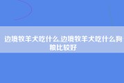 边境牧羊犬吃什么,边境牧羊犬吃什么狗粮比较好