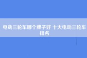 电动三轮车哪个牌子好 十大电动三轮车排名