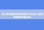 怎么把余额宝的钱转到支付宝(怎么把花呗里的钱提出来)