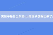 黑匣子是什么东西(321黑匣子数据出来了)