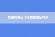 松鼠的生活习性,松鼠生活特点