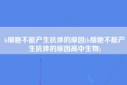 b细胞不能产生抗体的原因(b细胞不能产生抗体的原因高中生物)