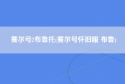 赛尔号2布鲁托(赛尔号怀旧服 布鲁)