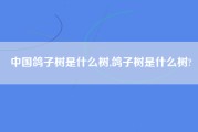 中国鸽子树是什么树,鸽子树是什么树?