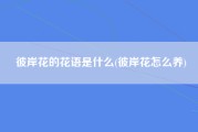 彼岸花的花语是什么(彼岸花怎么养)