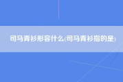 司马青衫形容什么(司马青衫指的是)