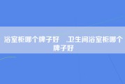 浴室柜哪个牌子好	,卫生间浴室柜哪个牌子好