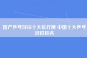 国产乒乓球拍十大排行榜 中国十大乒乓球拍排名