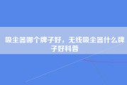吸尘器哪个牌子好，无线吸尘器什么牌子好科普