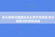 举头望明月团圆送佳礼四字常用语,举头望明月的举的词语