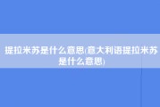 提拉米苏是什么意思(意大利语提拉米苏是什么意思)