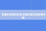 苍鹰和老鹰的区别(苍鹰厉害还是老鹰厉害)