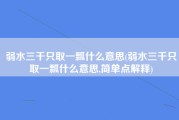 弱水三千只取一瓢什么意思(弱水三千只取一瓢什么意思,简单点解释)