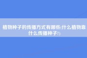 植物种子的传播方式有哪些(什么植物靠什么传播种子?)